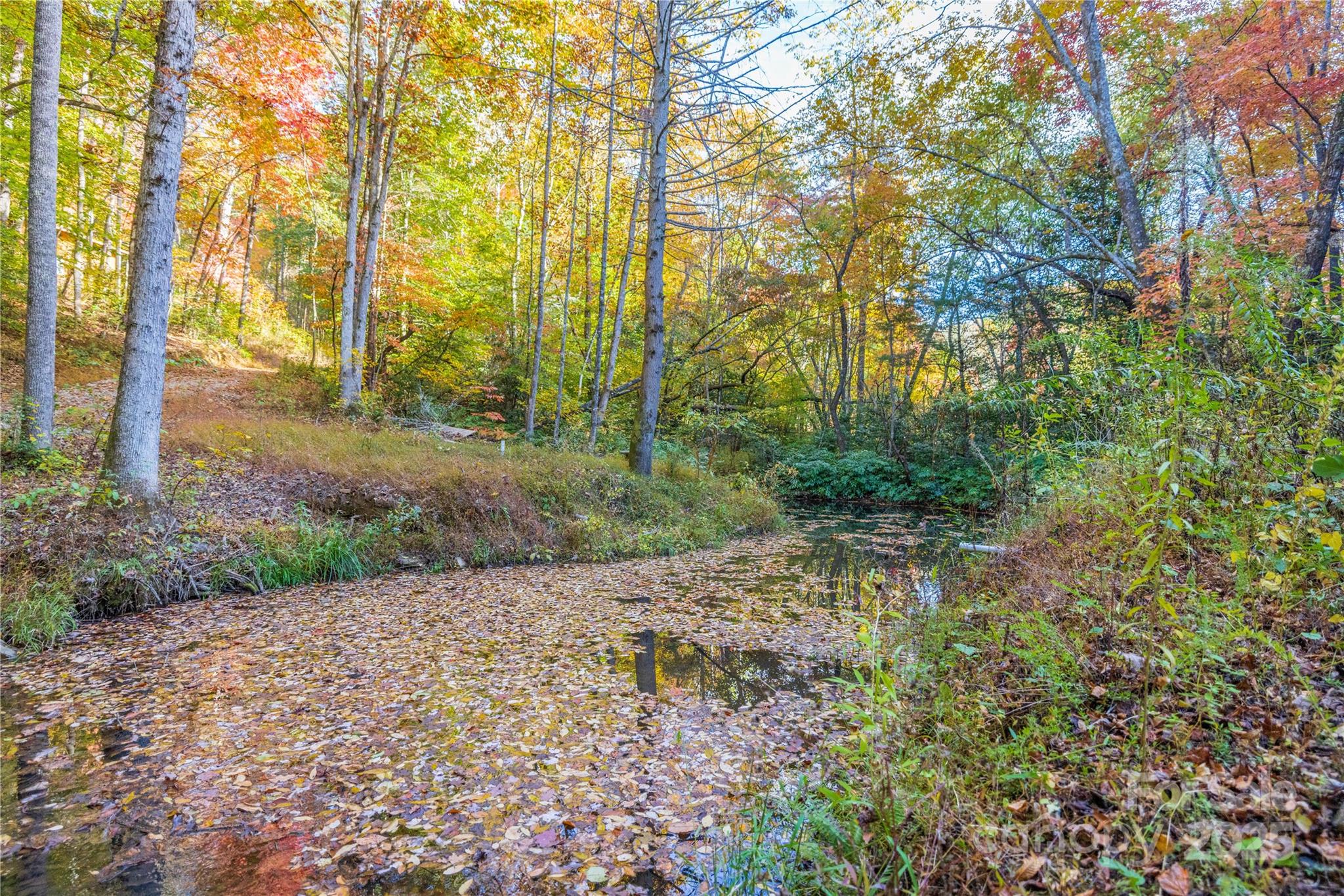3929 Parker Padgett Road Old Fort, NC 28762 - Photo 16 of 23 a view of a yard with plants and trees