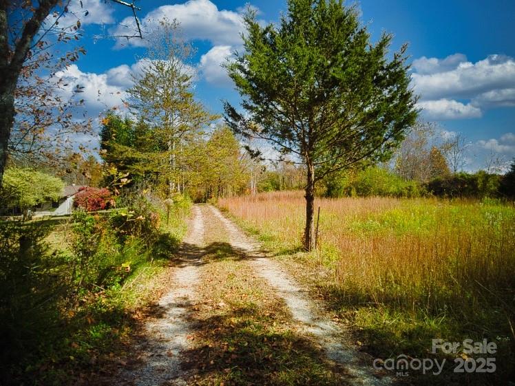 3929 Parker Padgett Road Old Fort, NC 28762 - Photo 22 of 23 a view of yard with large tree