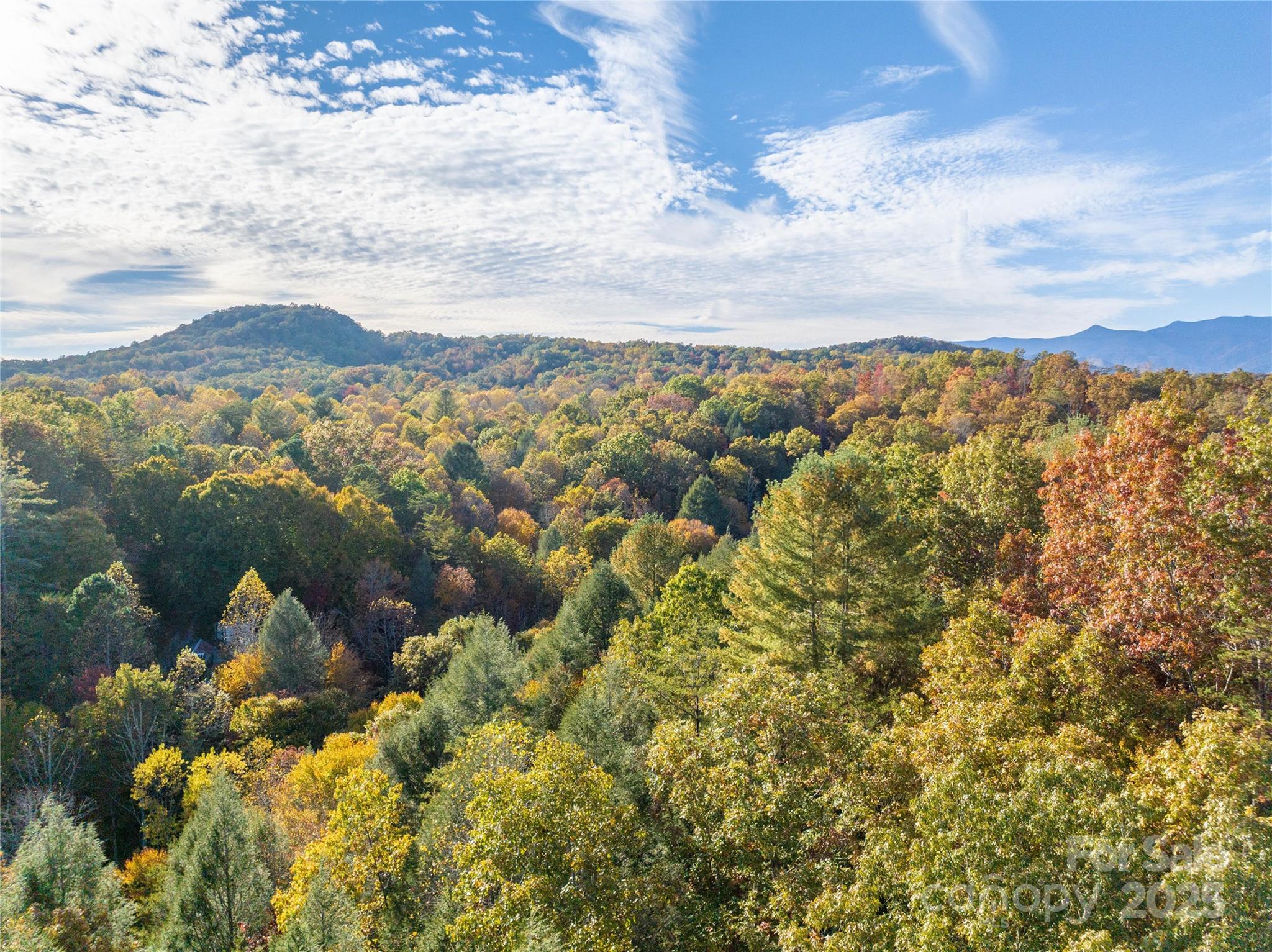 3929 Parker Padgett Road Old Fort, NC 28762 - Photo 23 of 23 a view of lake and mountain