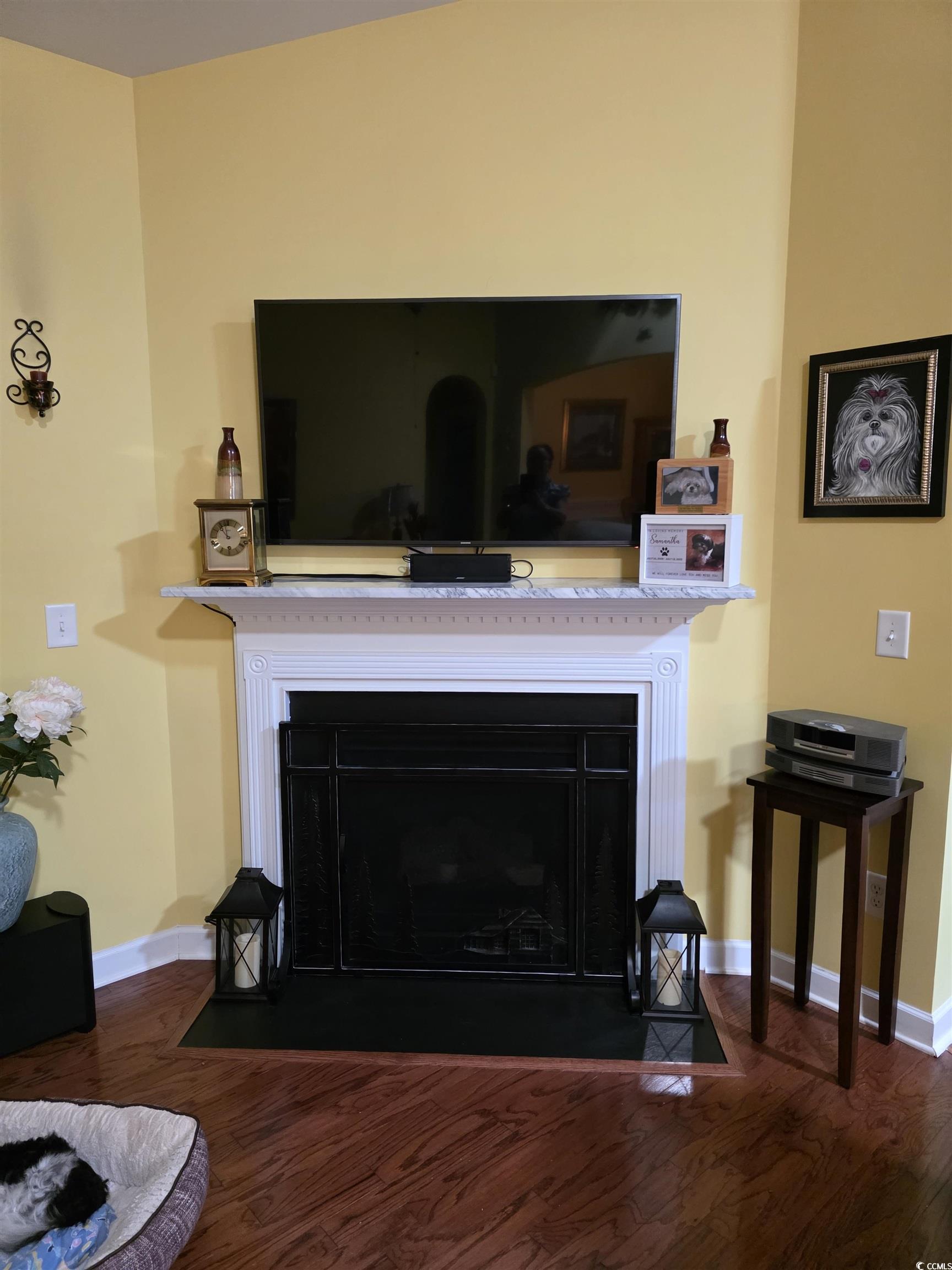 1575 Berkshire Avenue Myrtle Beach, SC 29577 - Photo 16 of 30 Detailed view of a fireplace with flush hearth and wood finished floors