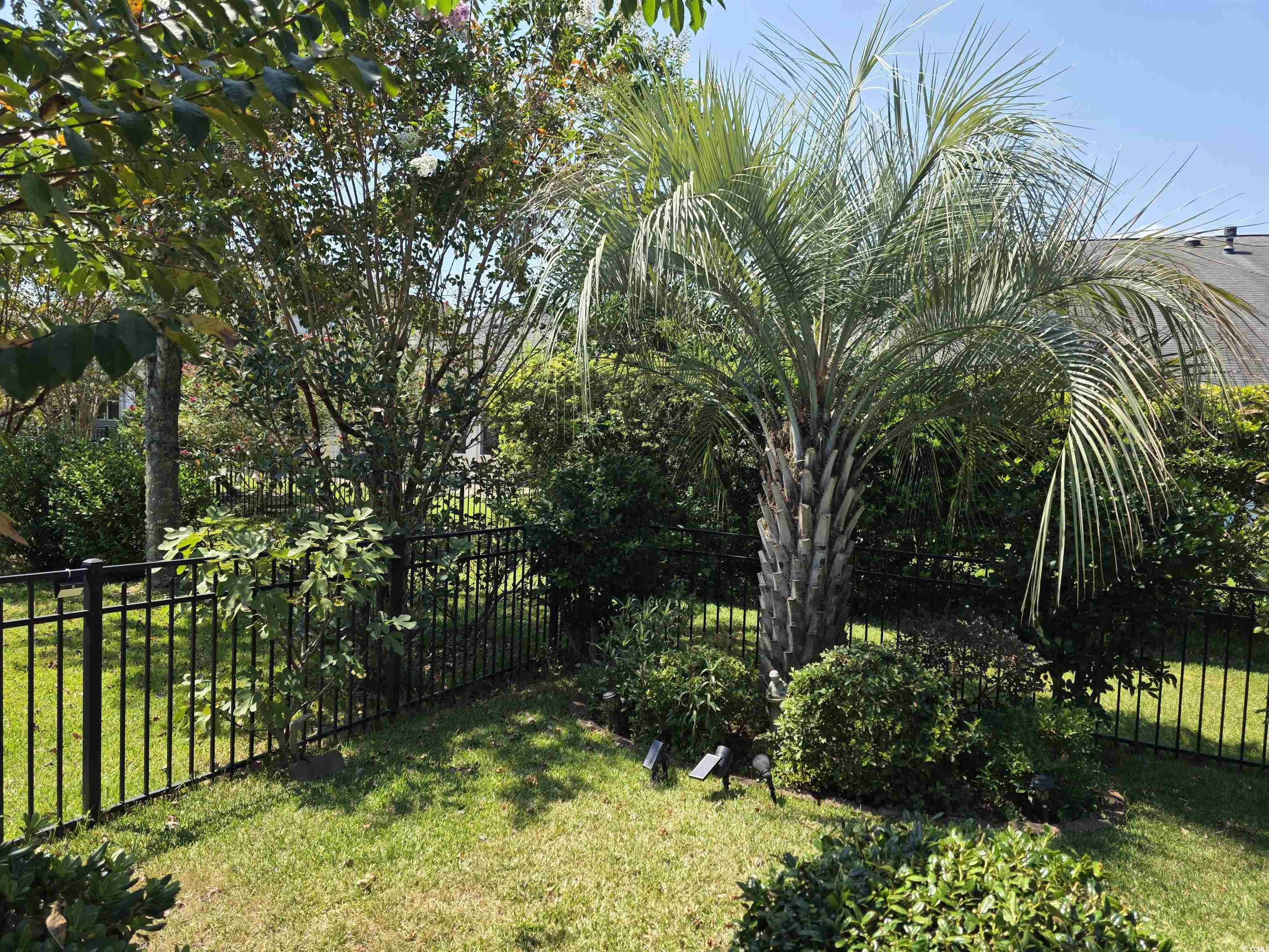1575 Berkshire Avenue Myrtle Beach, SC 29577 - Photo 27 of 30 View of yard