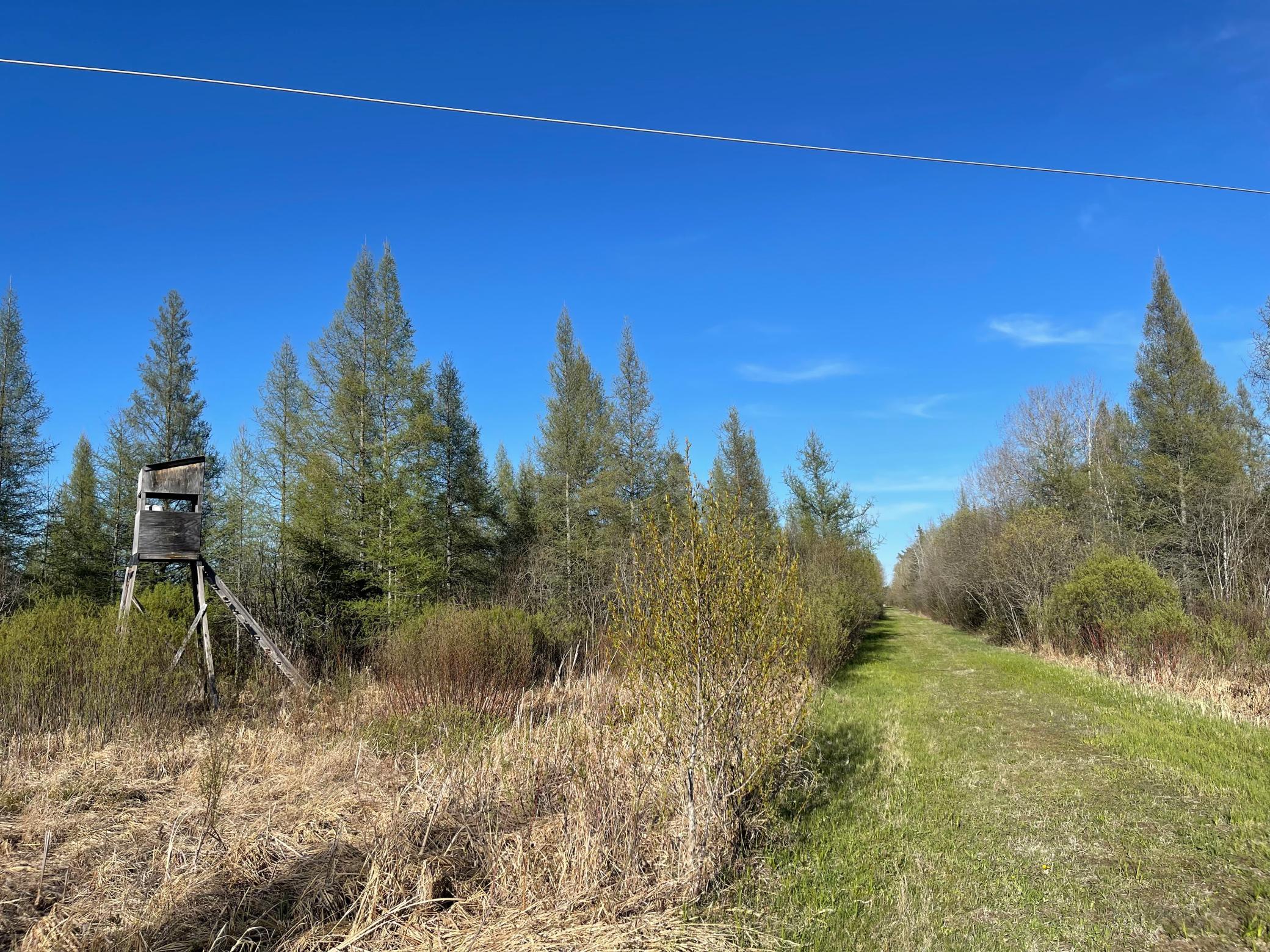 508 Cedar Valley Road Floodwood, MN 55736 - Photo 6 of 12