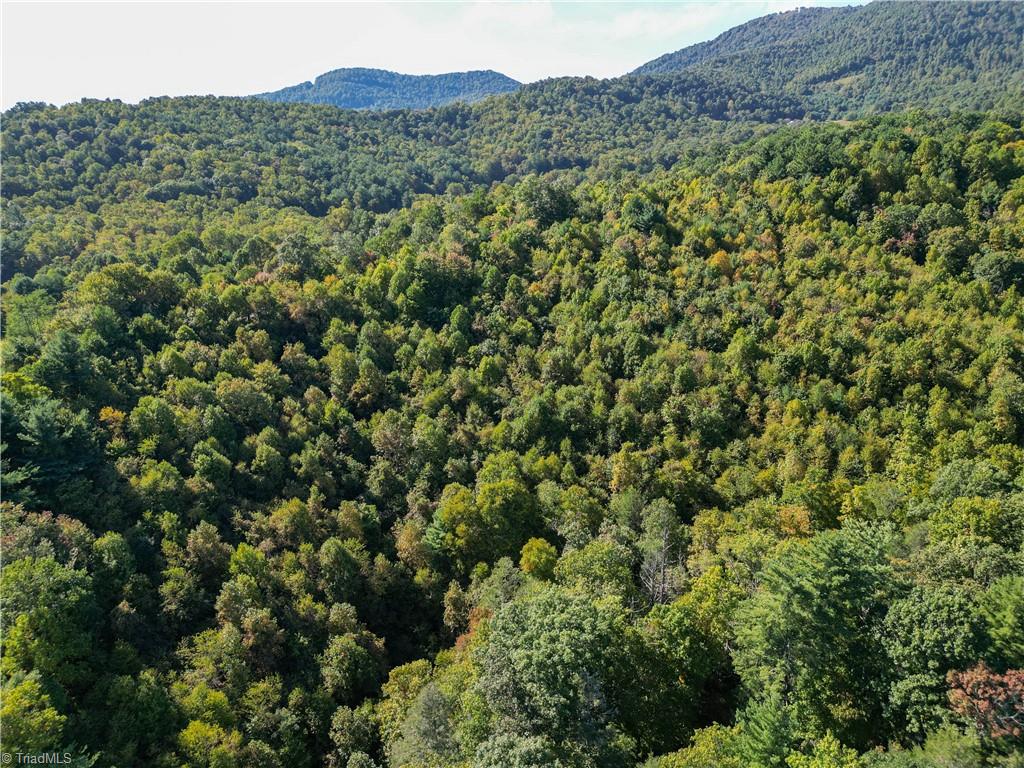 0 Orchard Road Deep Gap, NC 28618 - Photo 11 of 19
