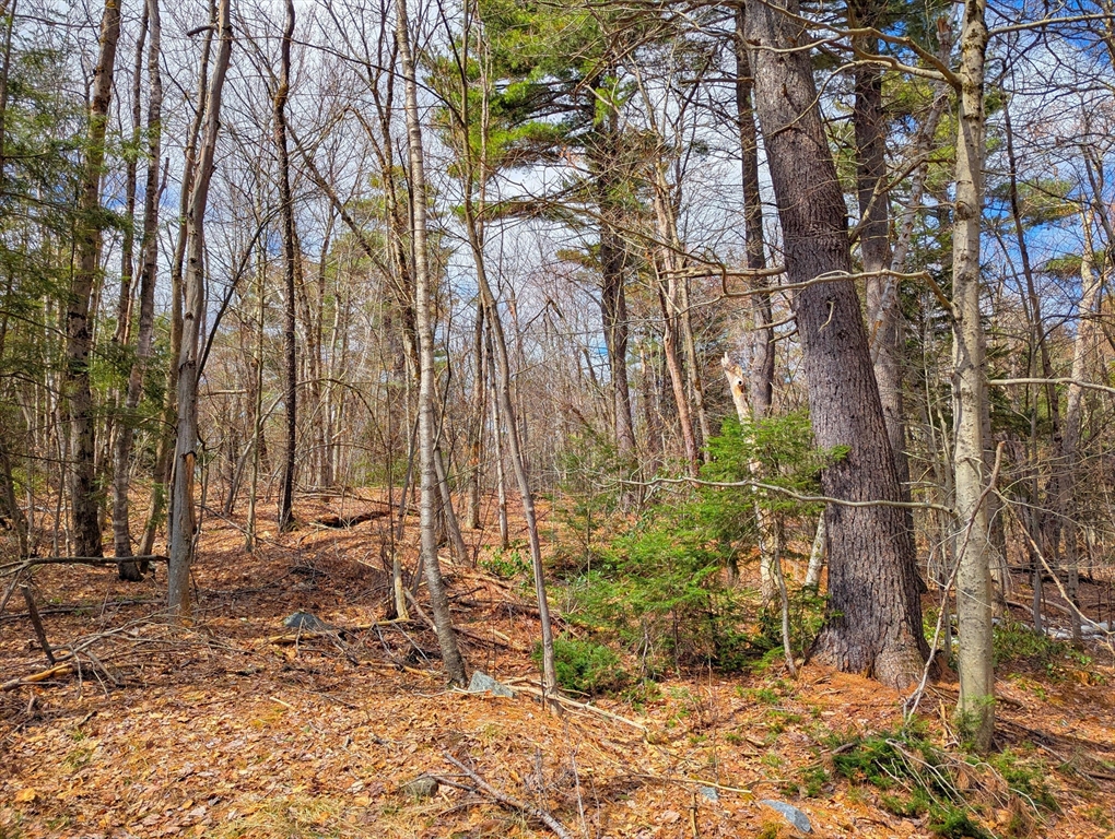 0 Johnson Road Becket, MA 01223 - Photo 15 of 20 a backyard of a house with lots of green space