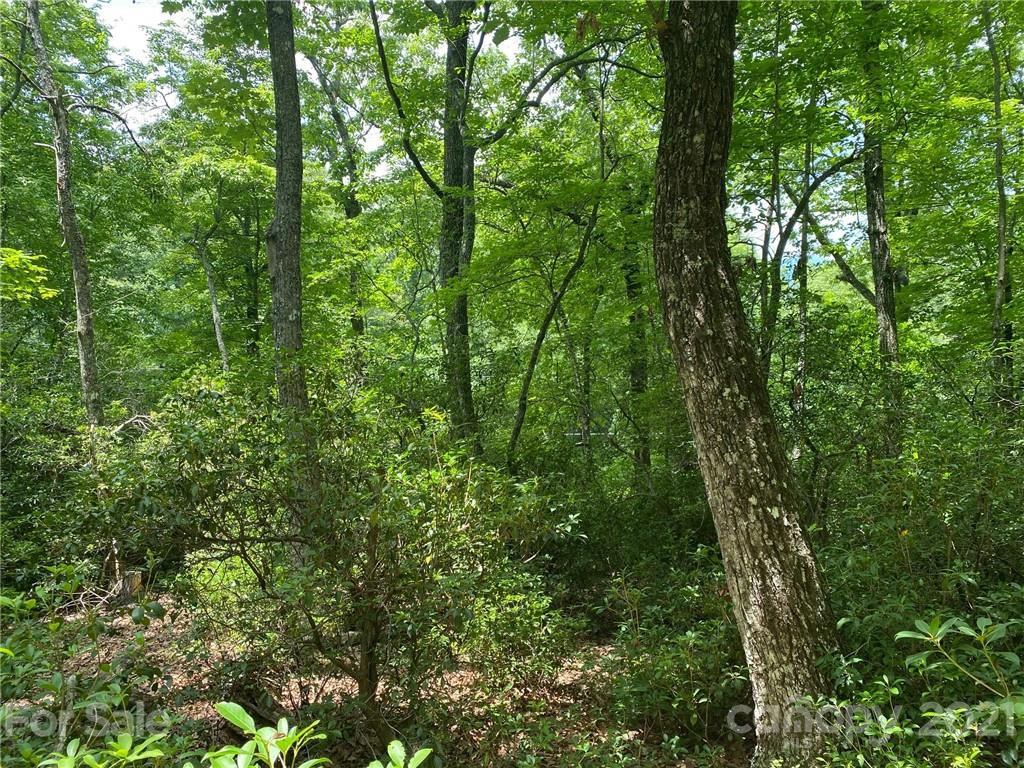 V/l Lytle Mountain Road Marion, NC 28752 - Photo 1 of 8 Gallery Image 1