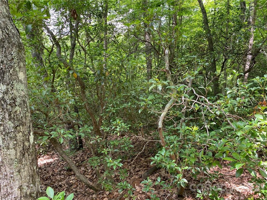 V/l Lytle Mountain Road Marion, NC 28752 - Photo 2 of 8 Gallery Image 2