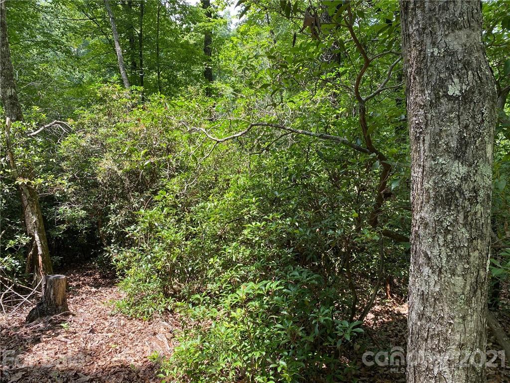 V/l Lytle Mountain Road Marion, NC 28752 - Photo 3 of 8 Gallery Image 3