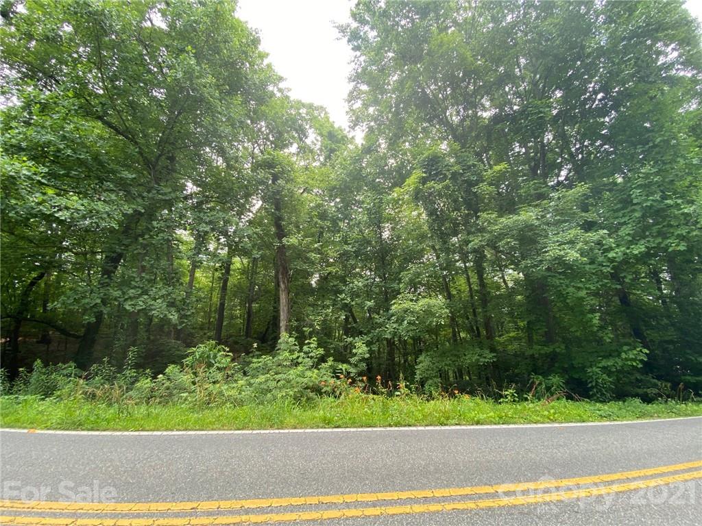 V/l Lytle Mountain Road Marion, NC 28752 - Photo 8 of 8 Gallery Image 8
