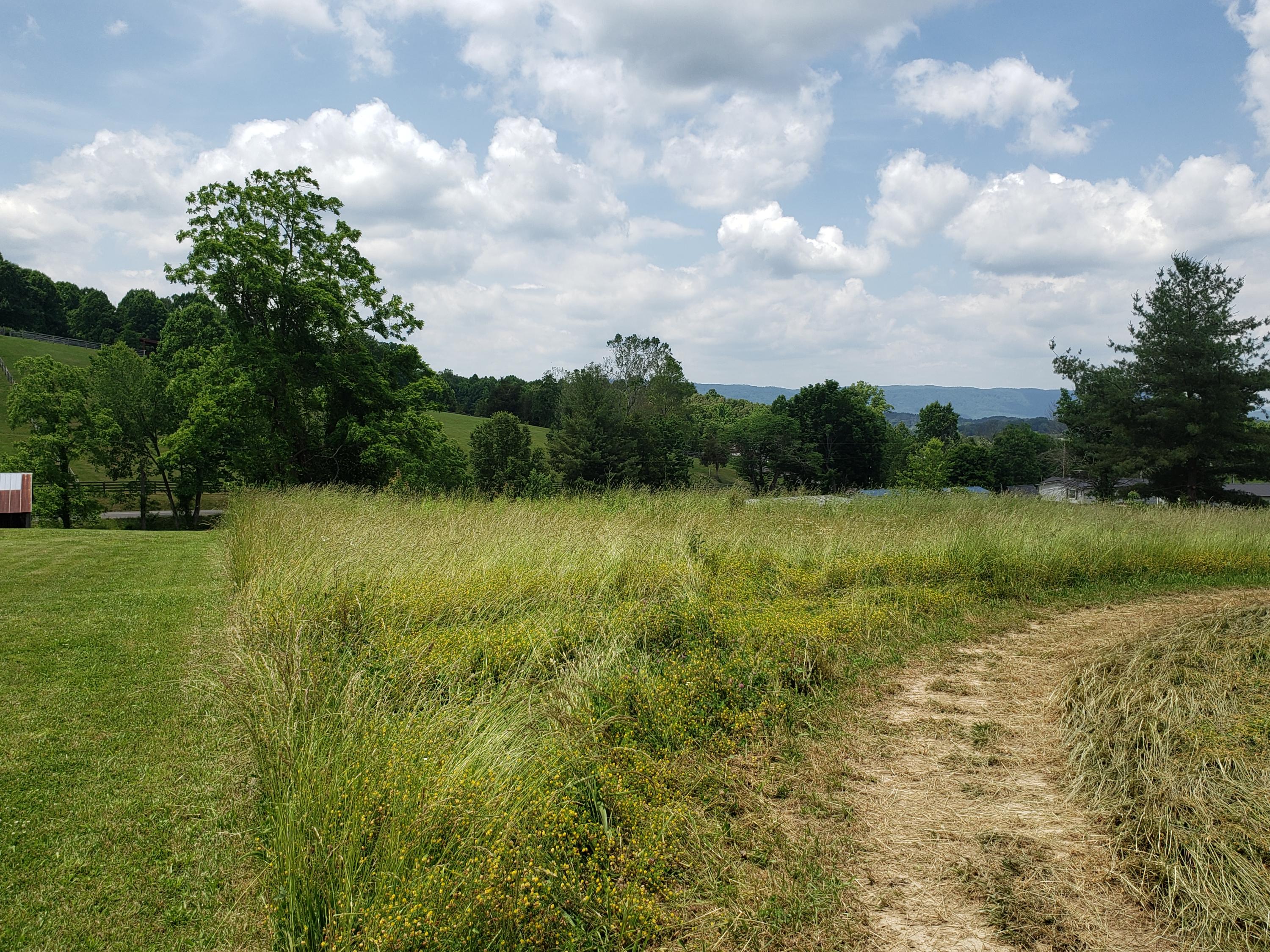 405 Branch Road Fall Branch, TN 37656 - Photo 6 of 9 20200602_142920