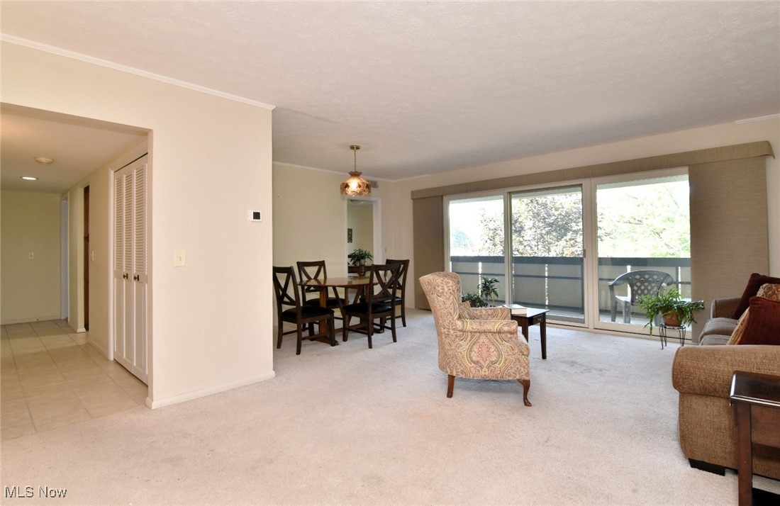 3701 Mayfield Road, Unit 304 Cleveland, OH 44121 - Photo 8 of 39 Gallery Image 8
