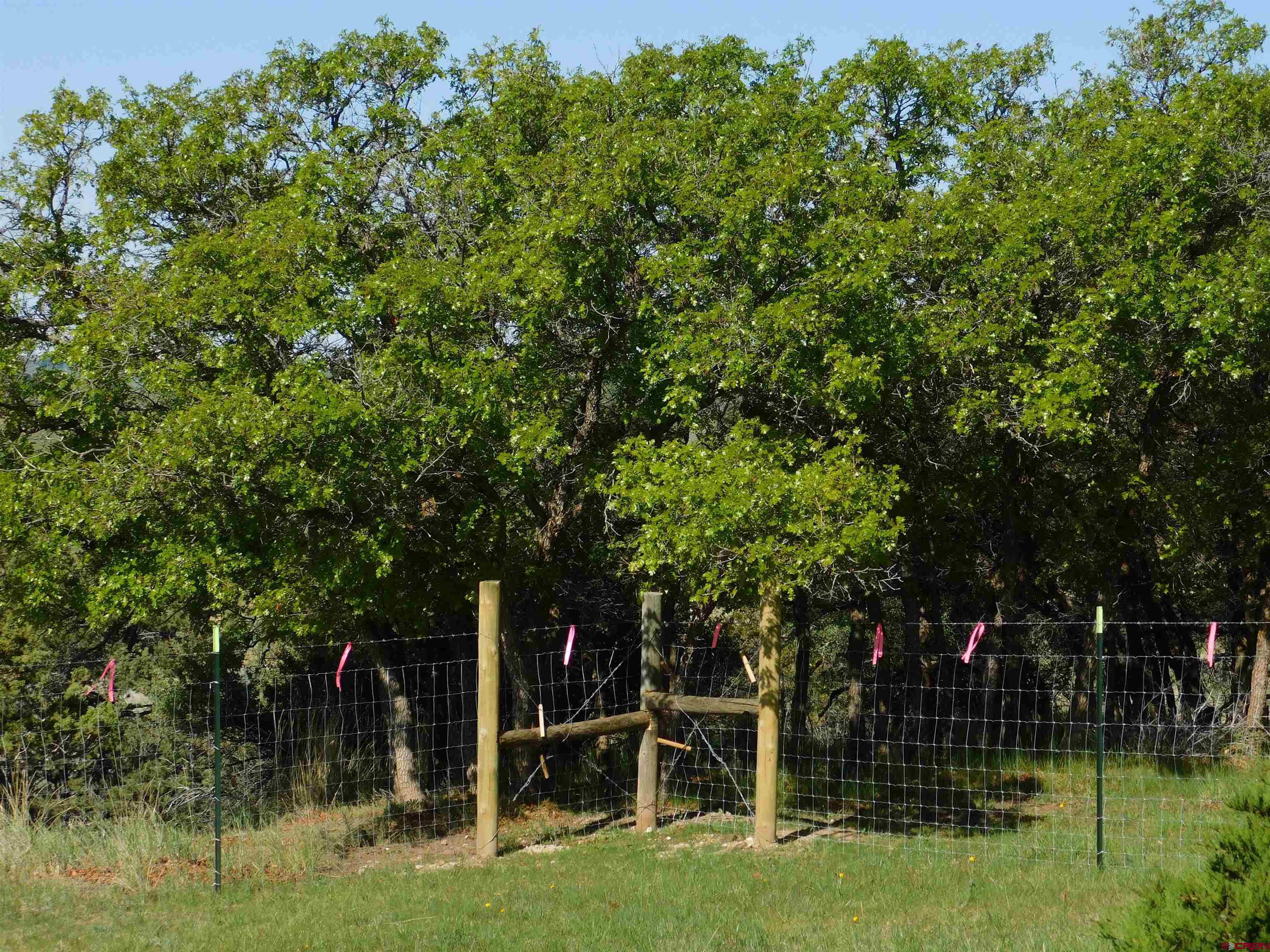 23300 Rd X Lewis, CO 81327 - Photo 18 of 44 a view of backyard with green space and fountain