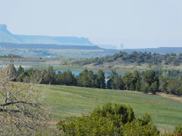 a view of a field with an ocean