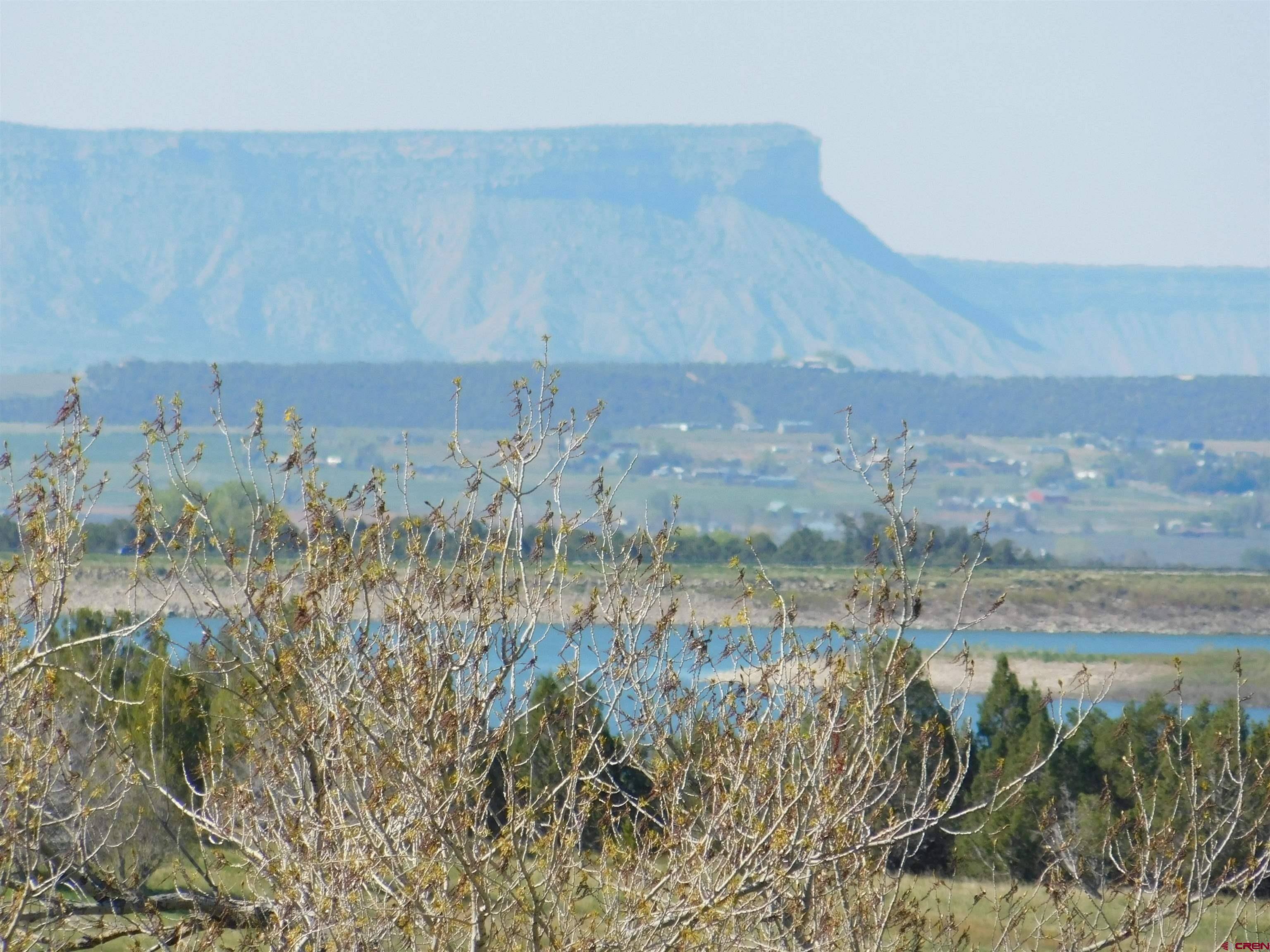 23300 Rd X Lewis, CO 81327 - Photo 21 of 44 a view of lot of tall trees
