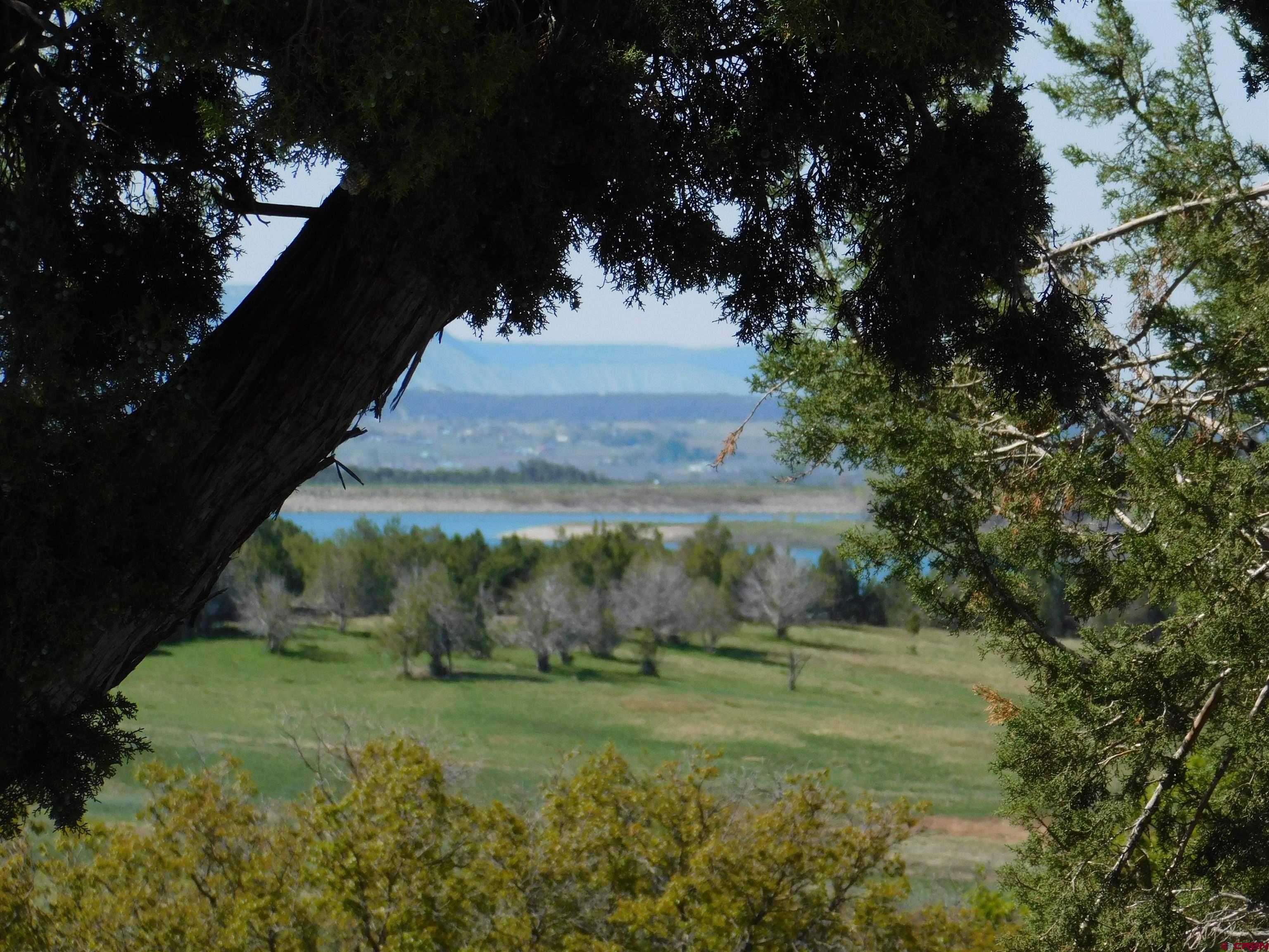 23300 Rd X Lewis, CO 81327 - Photo 30 of 44 a view of outdoor space and yard