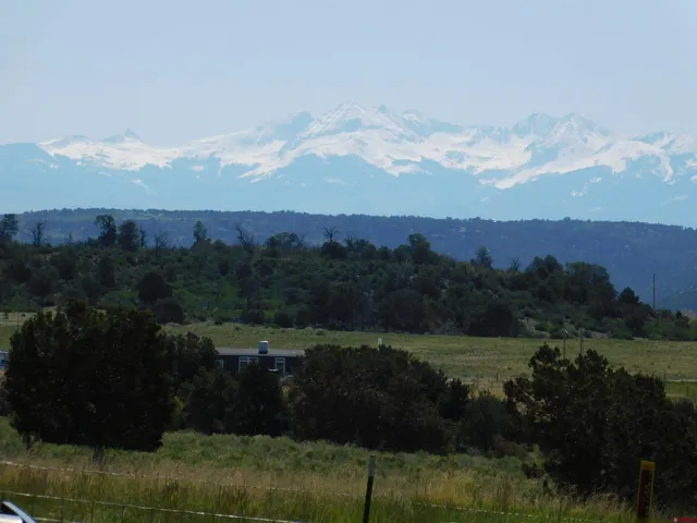 a garden view with a seating space