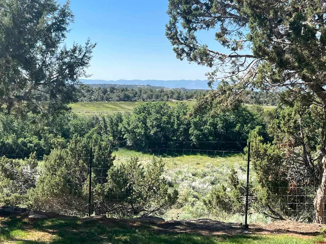 a big yard with lots of green space and plants