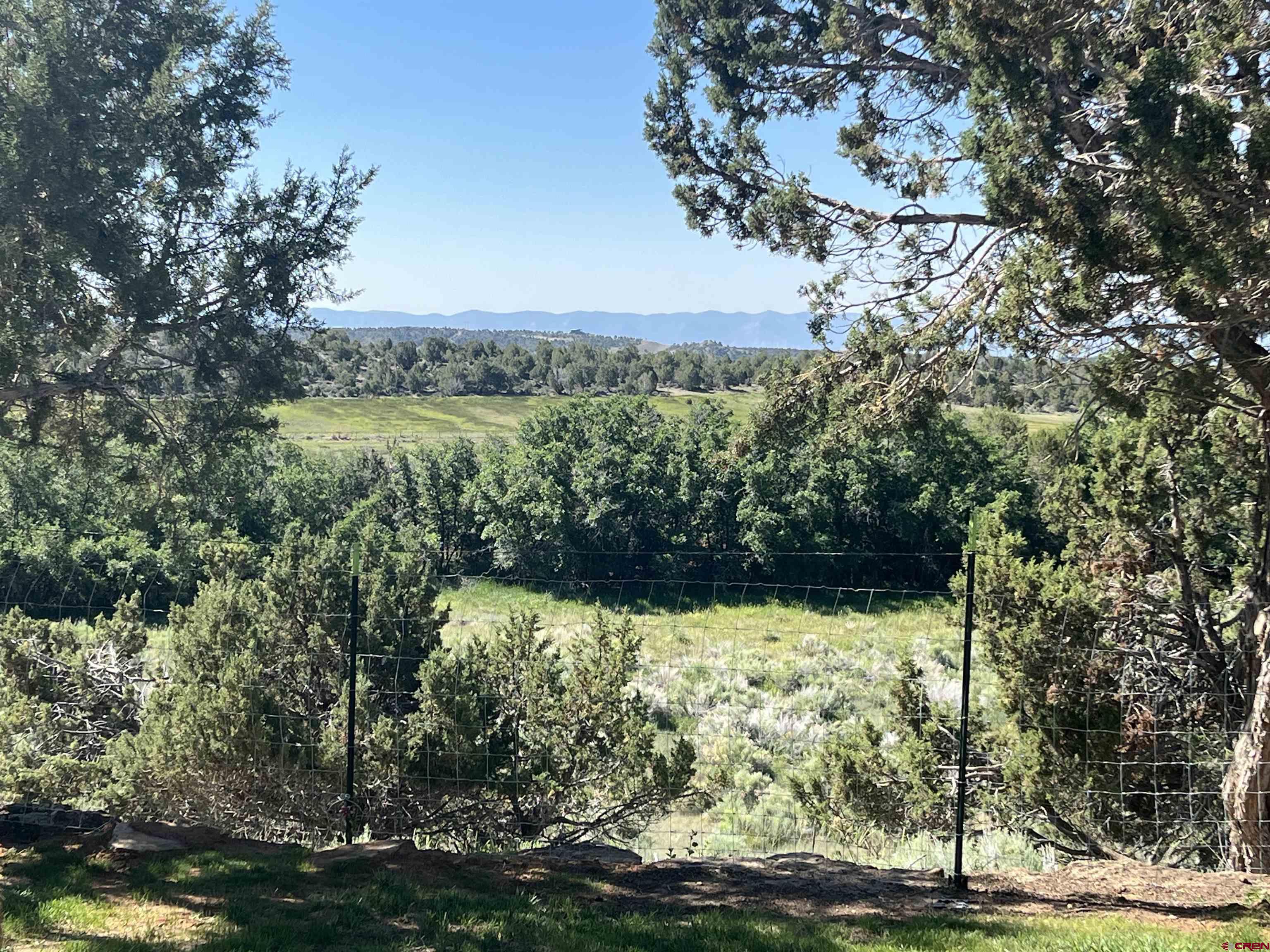 23300 Rd X Lewis, CO 81327 - Photo 38 of 44 a view of a yard
