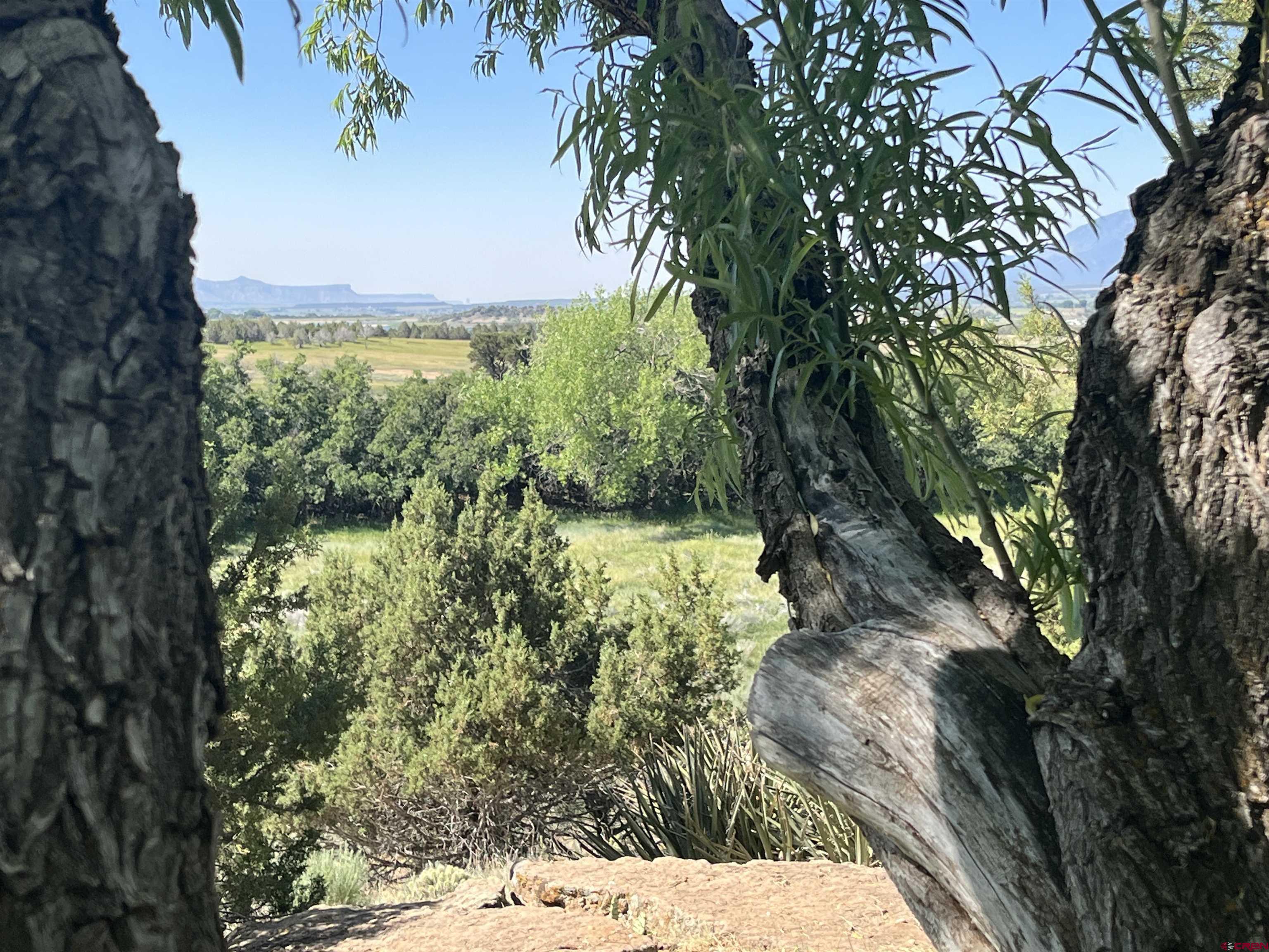 23300 Rd X Lewis, CO 81327 - Photo 40 of 44 a view of a yard
