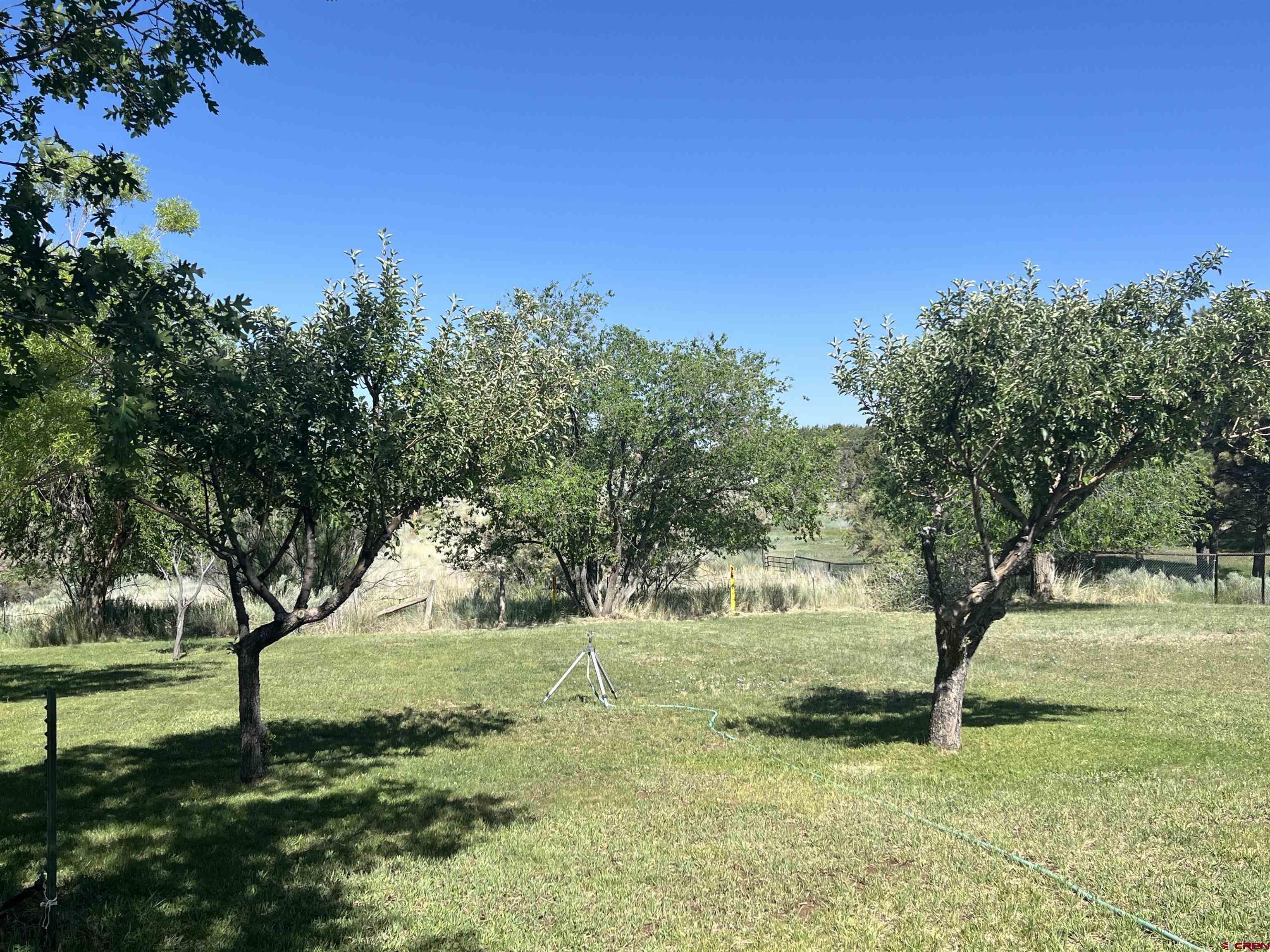 23300 Rd X Lewis, CO 81327 - Photo 41 of 44 a big yard with lots of green space and plants