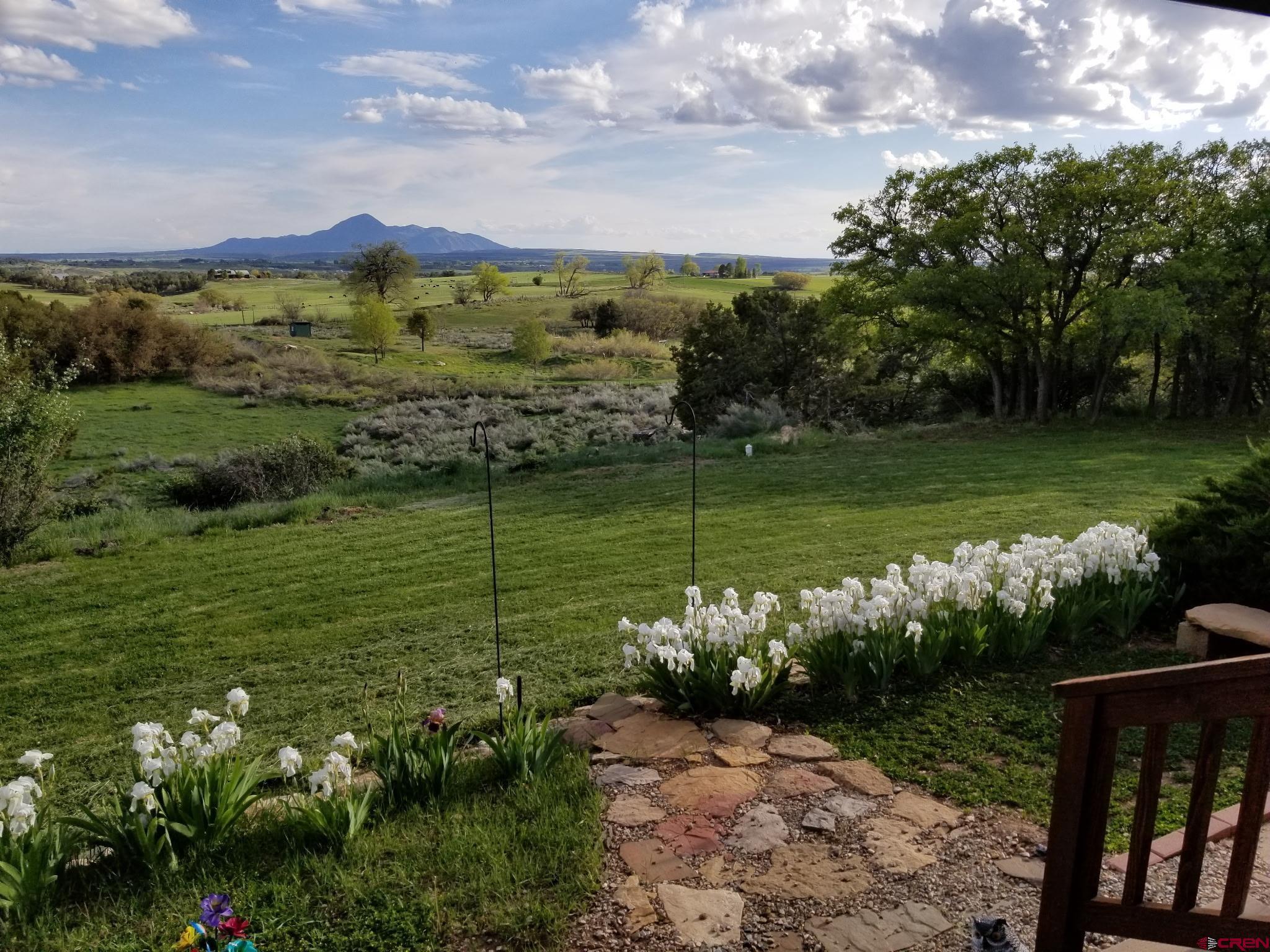 23300 Rd X Lewis, CO 81327 - Photo 7 of 44 a view of a lake from a yard