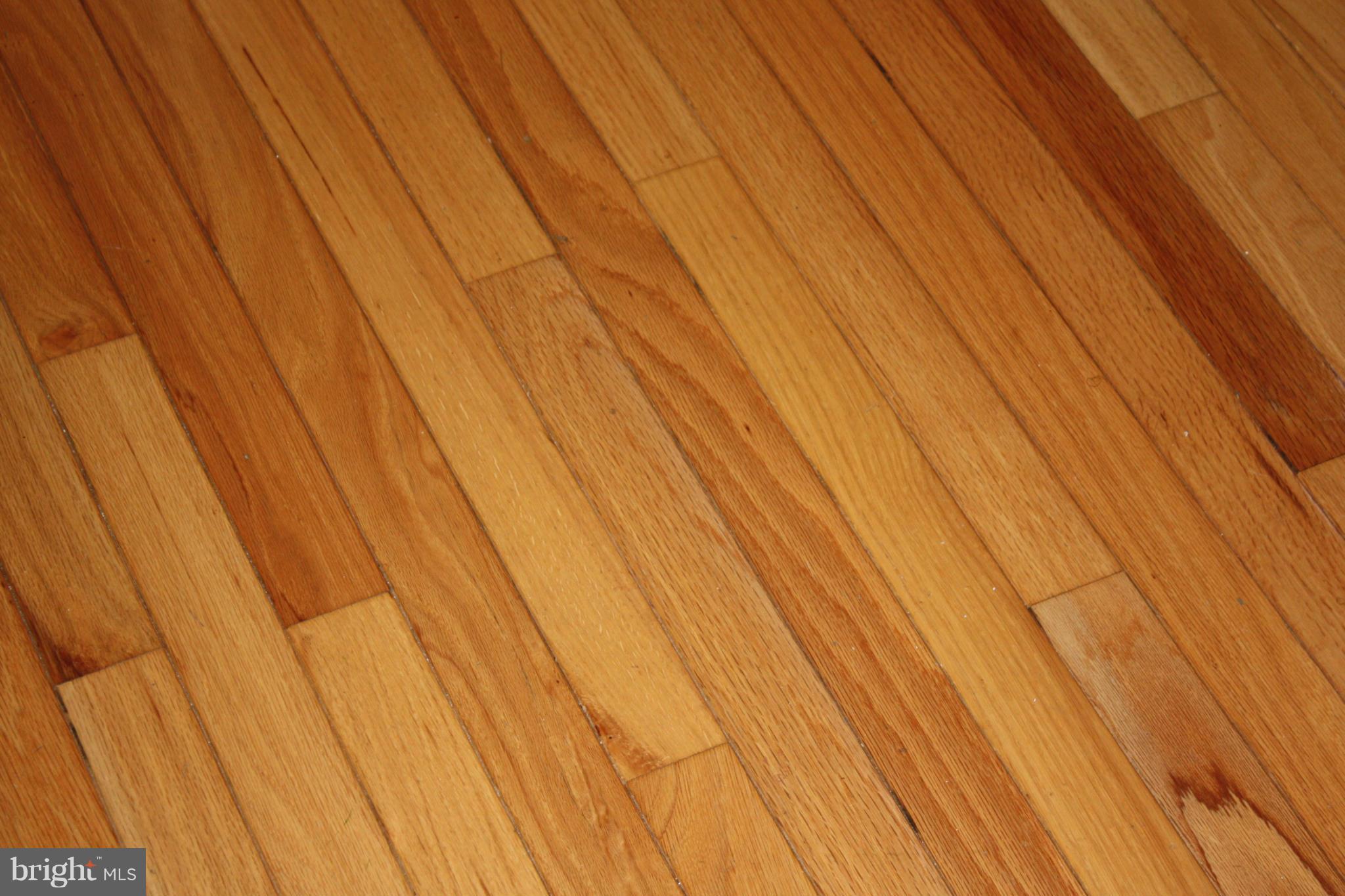 8705 Wadebrook Terrace Springfield, VA 22153 - Photo 13 of 21 Interior (General)