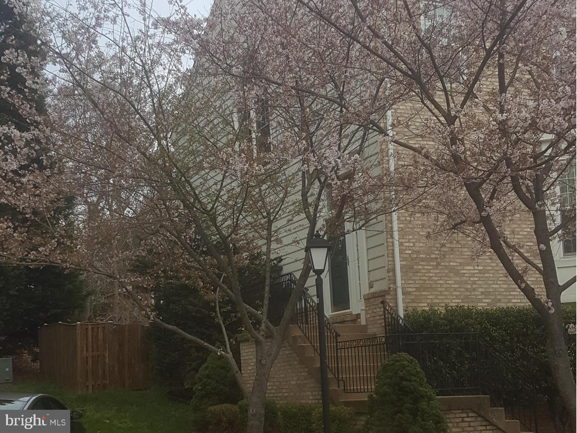 8705 Wadebrook Terrace Springfield, VA 22153 - Photo 7 of 21 Exterior (General)