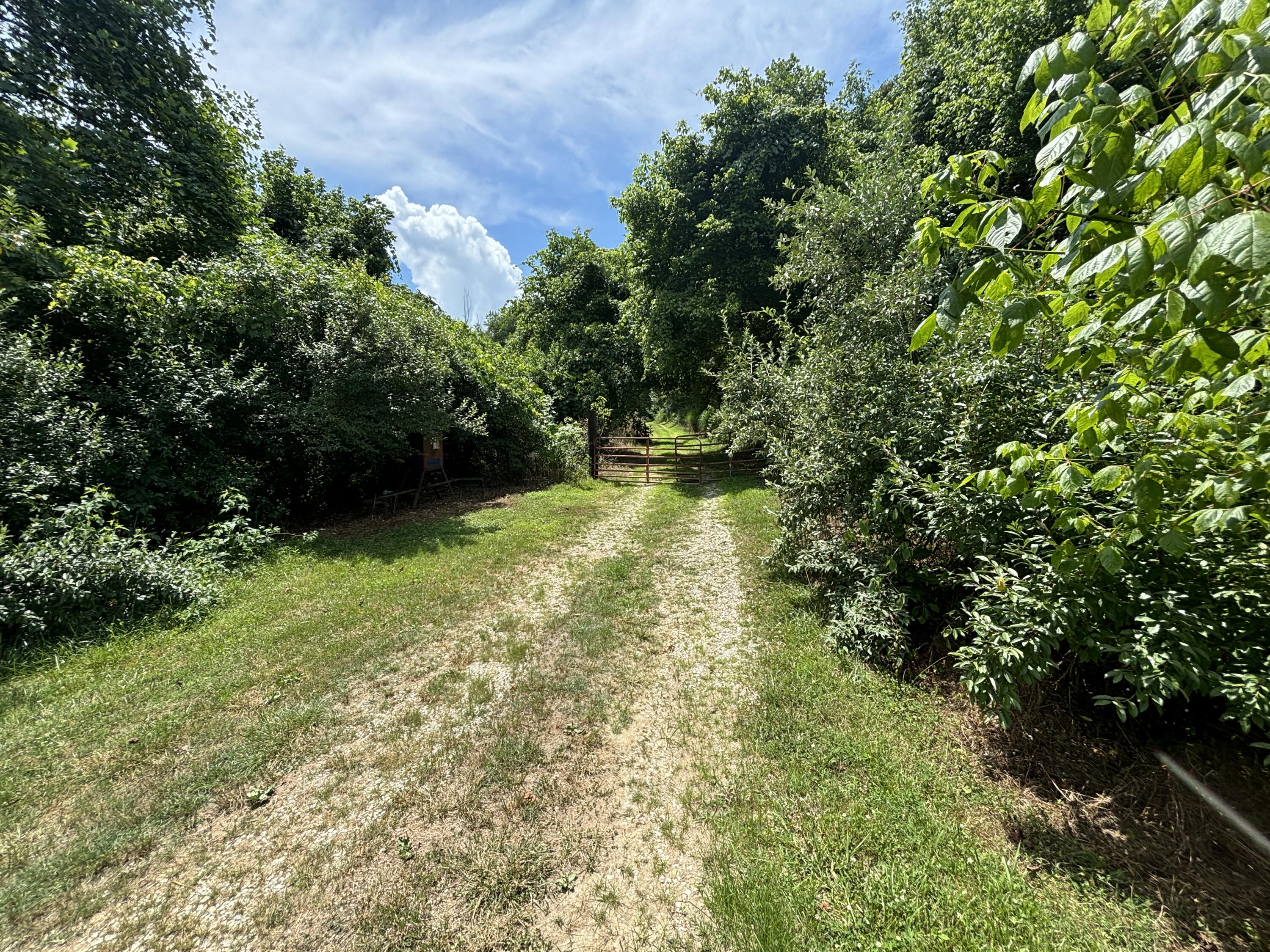 1431 Bull Run Road Barbourville, KY 40906 - Photo 9 of 24 IMG_0049