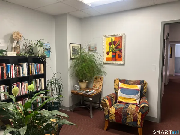 a living room with furniture a bookshelf and a potted plant