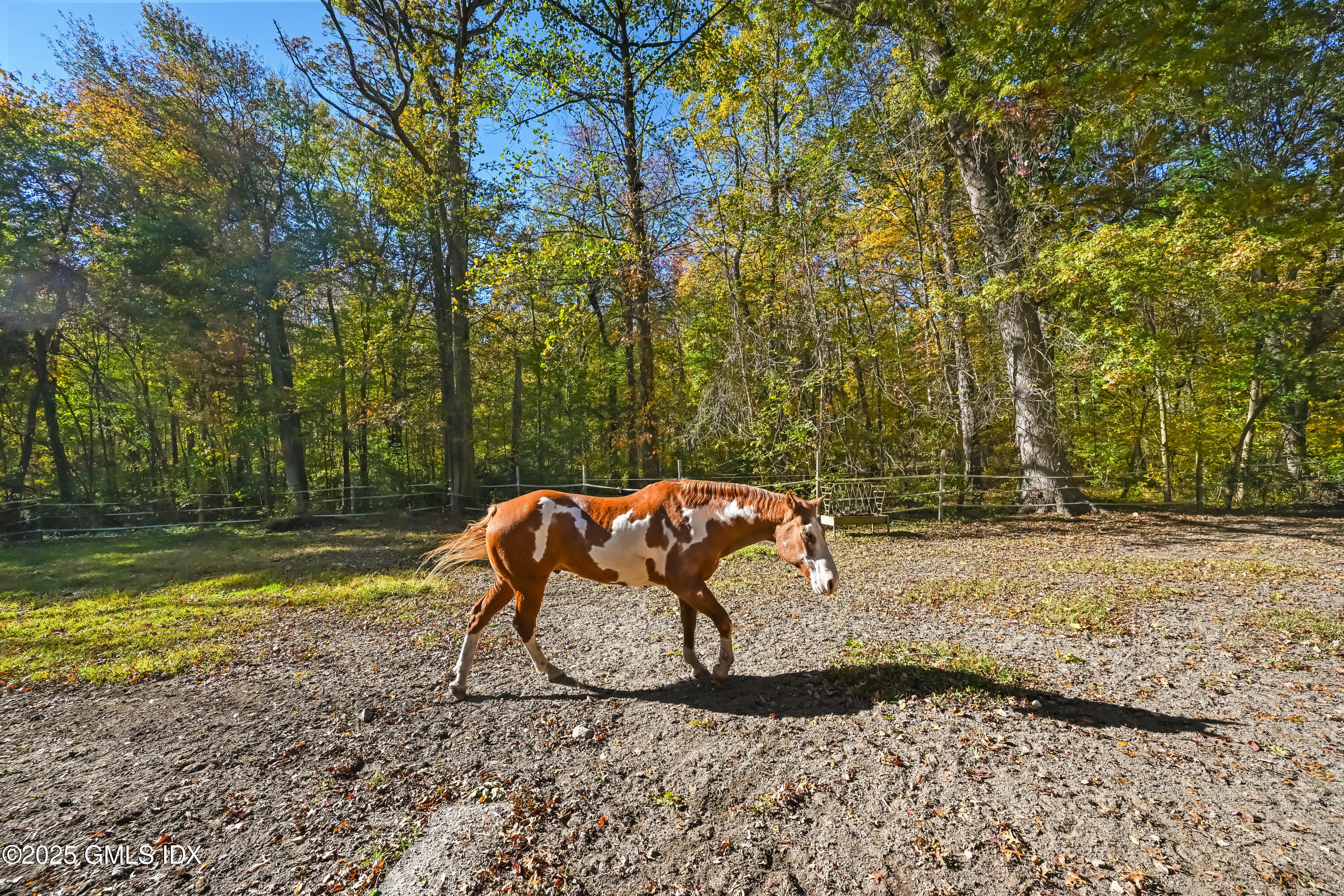 38 Bedford Road Greenwich, CT 06831 - Photo 29 of 33 Large paddocks