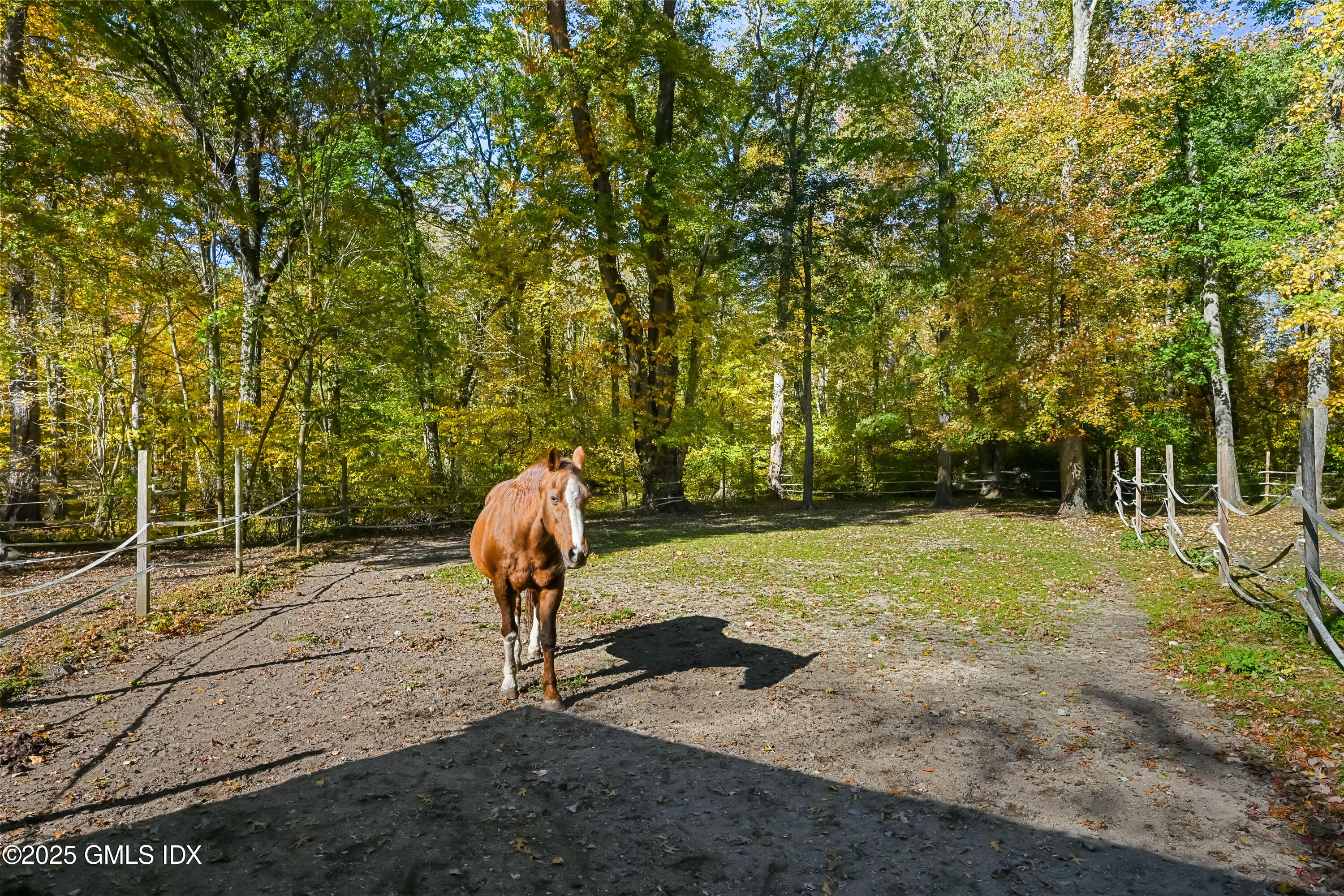 38 Bedford Road Greenwich, CT 06831 - Photo 4 of 33 Large horse paddocks