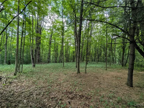 $64,900 | Akins Road, Cohocton, NY 14826