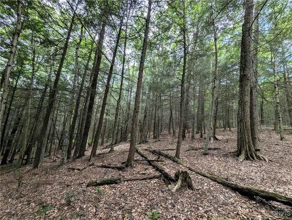 $64,900 | Akins Road, Cohocton, NY 14826