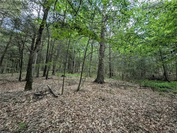 $64,900 | Akins Road, Cohocton, NY 14826