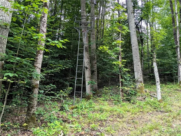 $64,900 | Akins Road, Cohocton, NY 14826