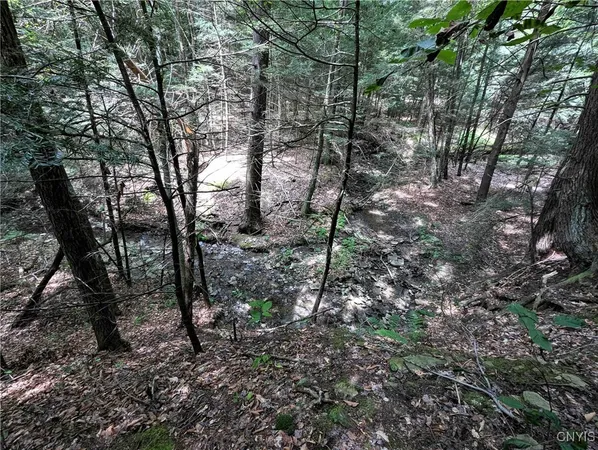 $64,900 | Akins Road, Cohocton, NY 14826