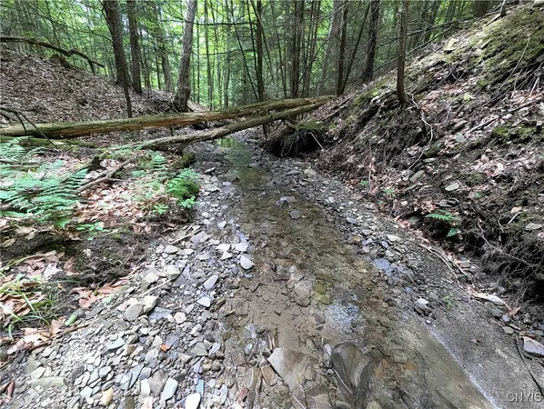 $64,900 | Akins Road, Cohocton, NY 14826