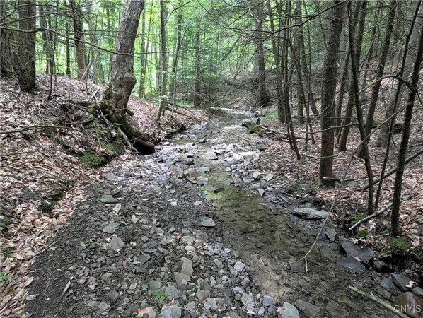 $64,900 | Akins Road, Cohocton, NY 14826