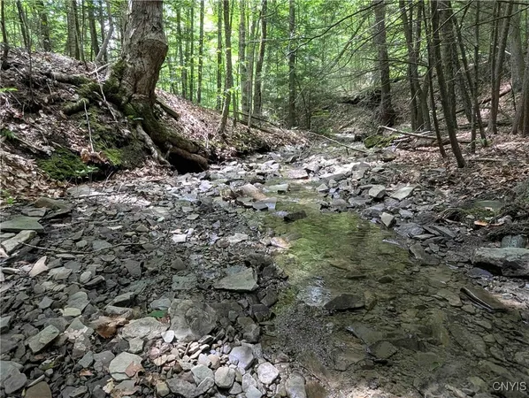 $64,900 | Akins Road, Cohocton, NY 14826
