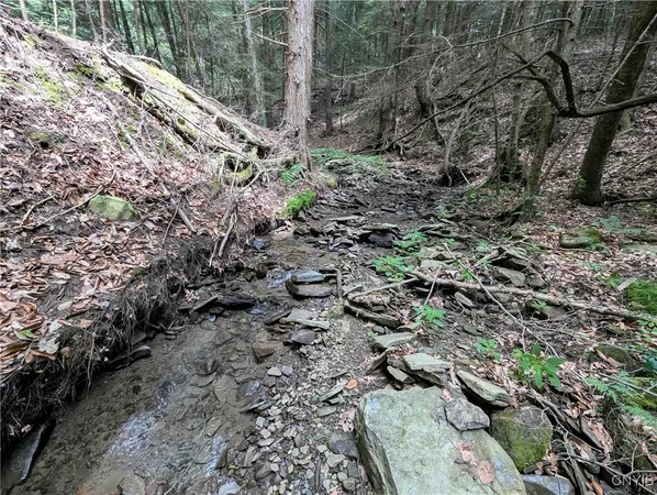 $64,900 | Akins Road, Cohocton, NY 14826