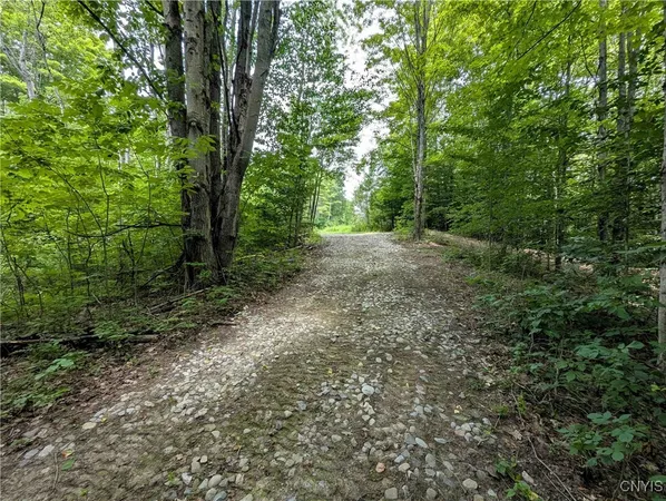 $64,900 | Akins Road, Cohocton, NY 14826