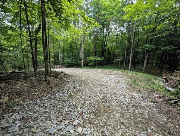 $64,900 | Akins Road, Cohocton, NY 14826