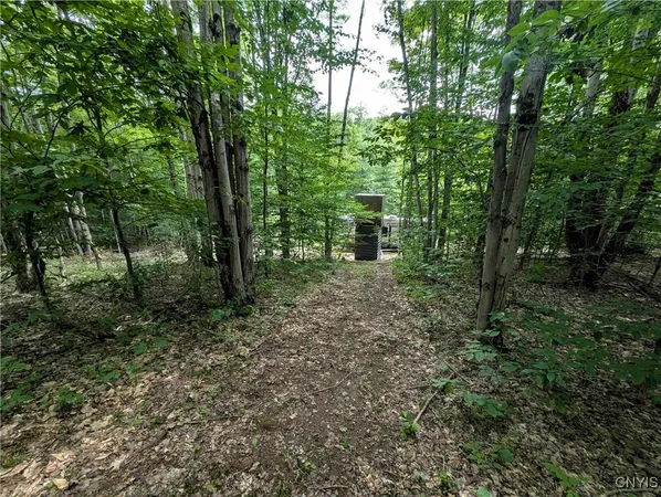 $64,900 | Akins Road, Cohocton, NY 14826
