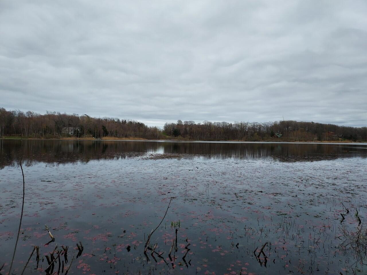5424 West Oak Point Road Ludington, MI 49431 - Photo 8 of 12 186 ft of Private Water Frontage