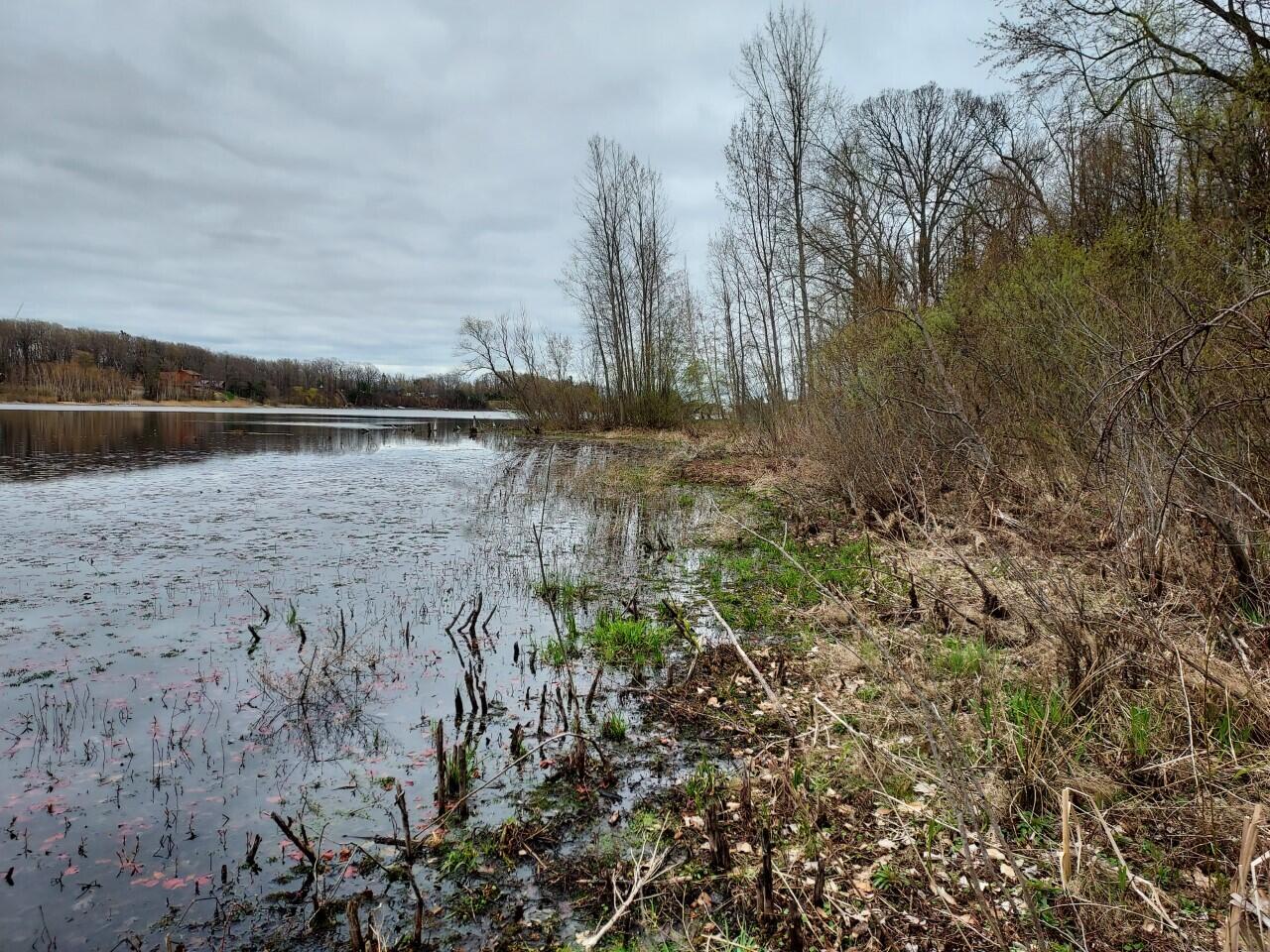 5424 West Oak Point Road Ludington, MI 49431 - Photo 9 of 12 Water Frontage 2