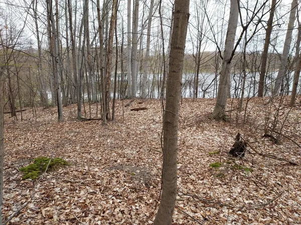 $62,000 | 5424 West Oak Point Road, Ludington, MI 49431