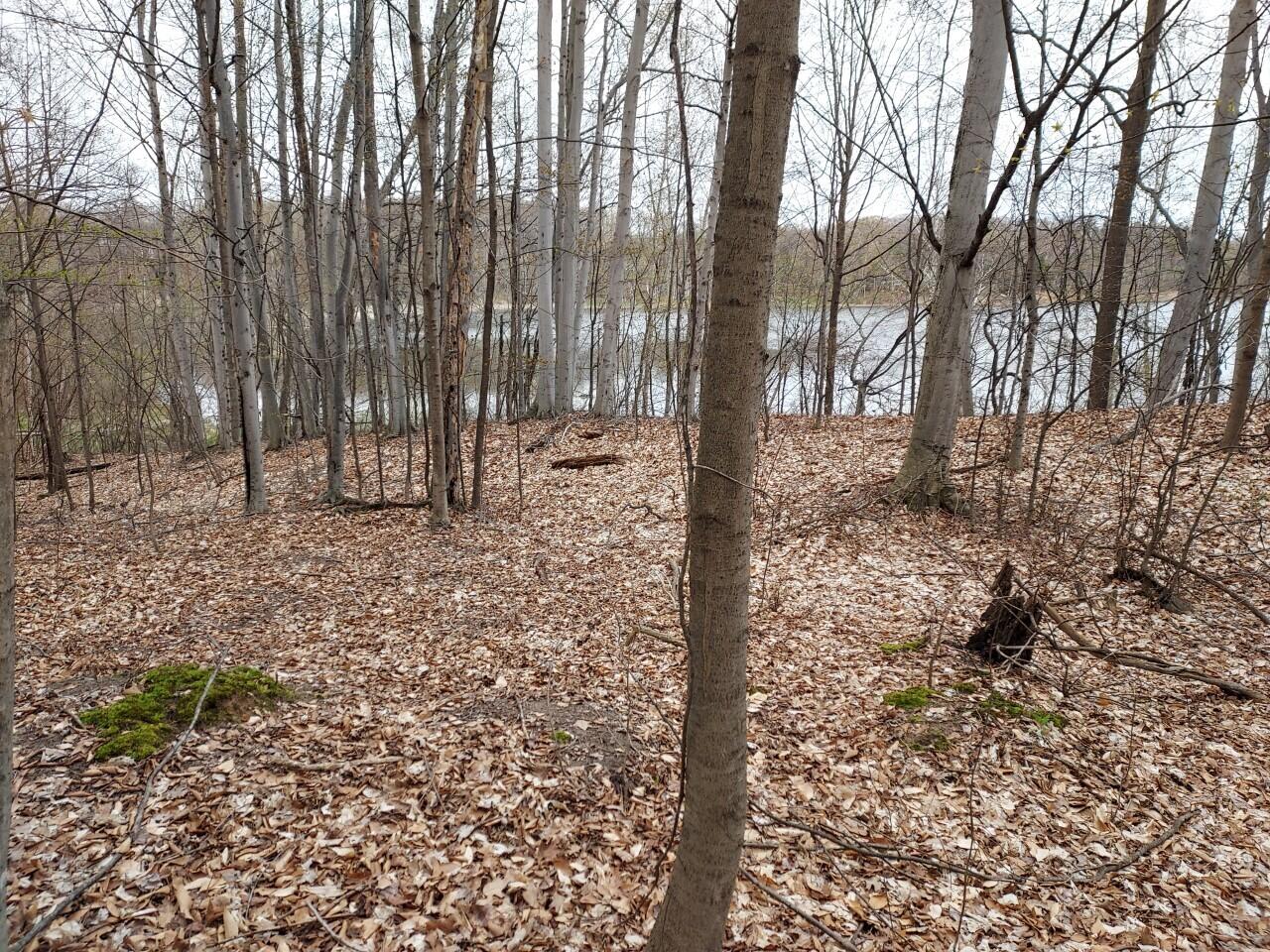 5424 West Oak Point Road Ludington, MI 49431 - Photo 10 of 12 Flat Area