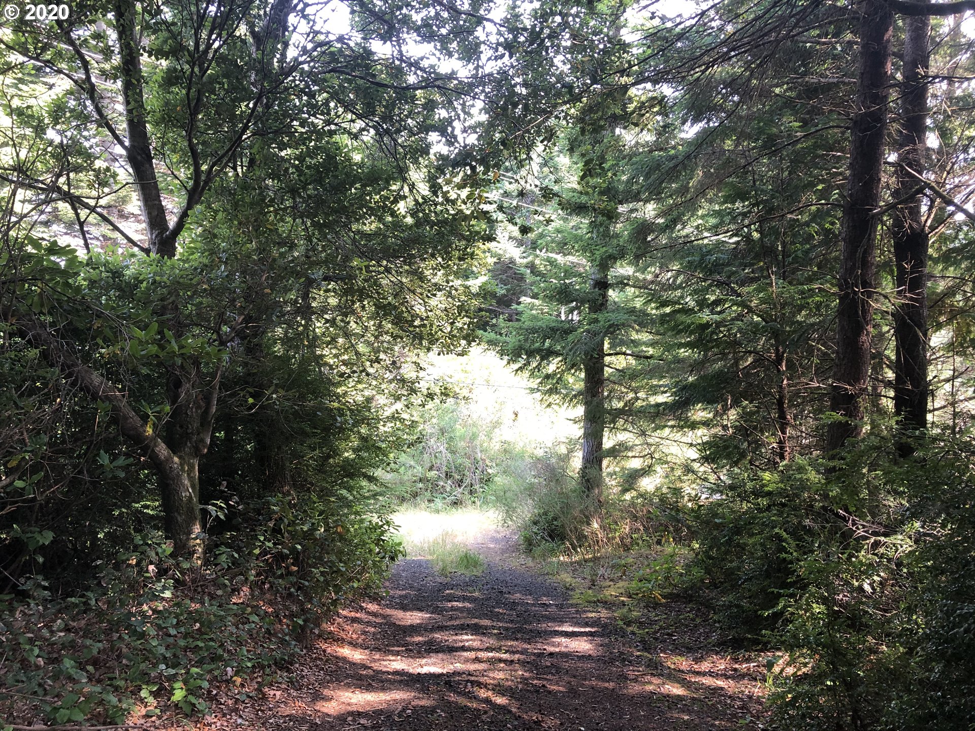 Old Mill Rd Port Port Orford, OR 97465 - Photo 1 of 16 Gallery Image 1