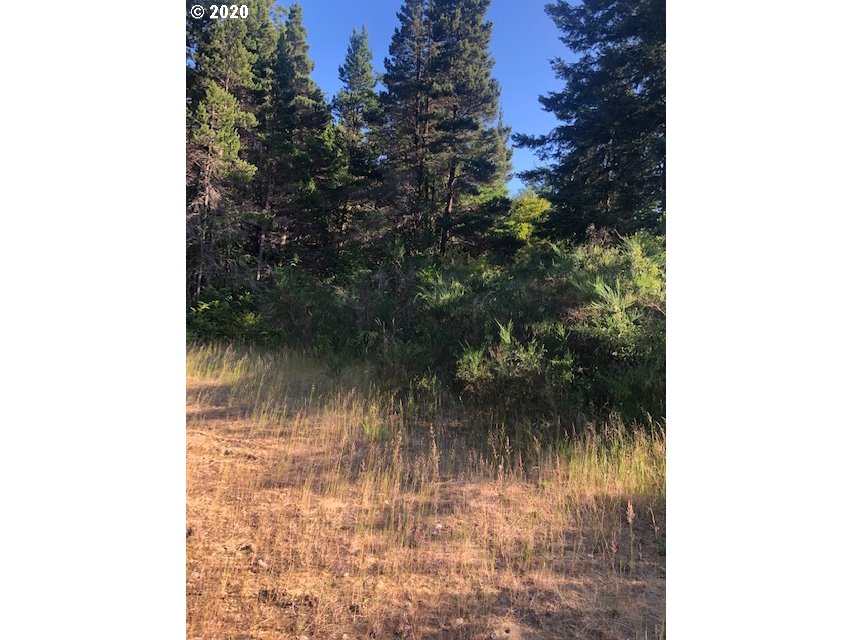Old Mill Rd Port Port Orford, OR 97465 - Photo 2 of 16 Gallery Image 2