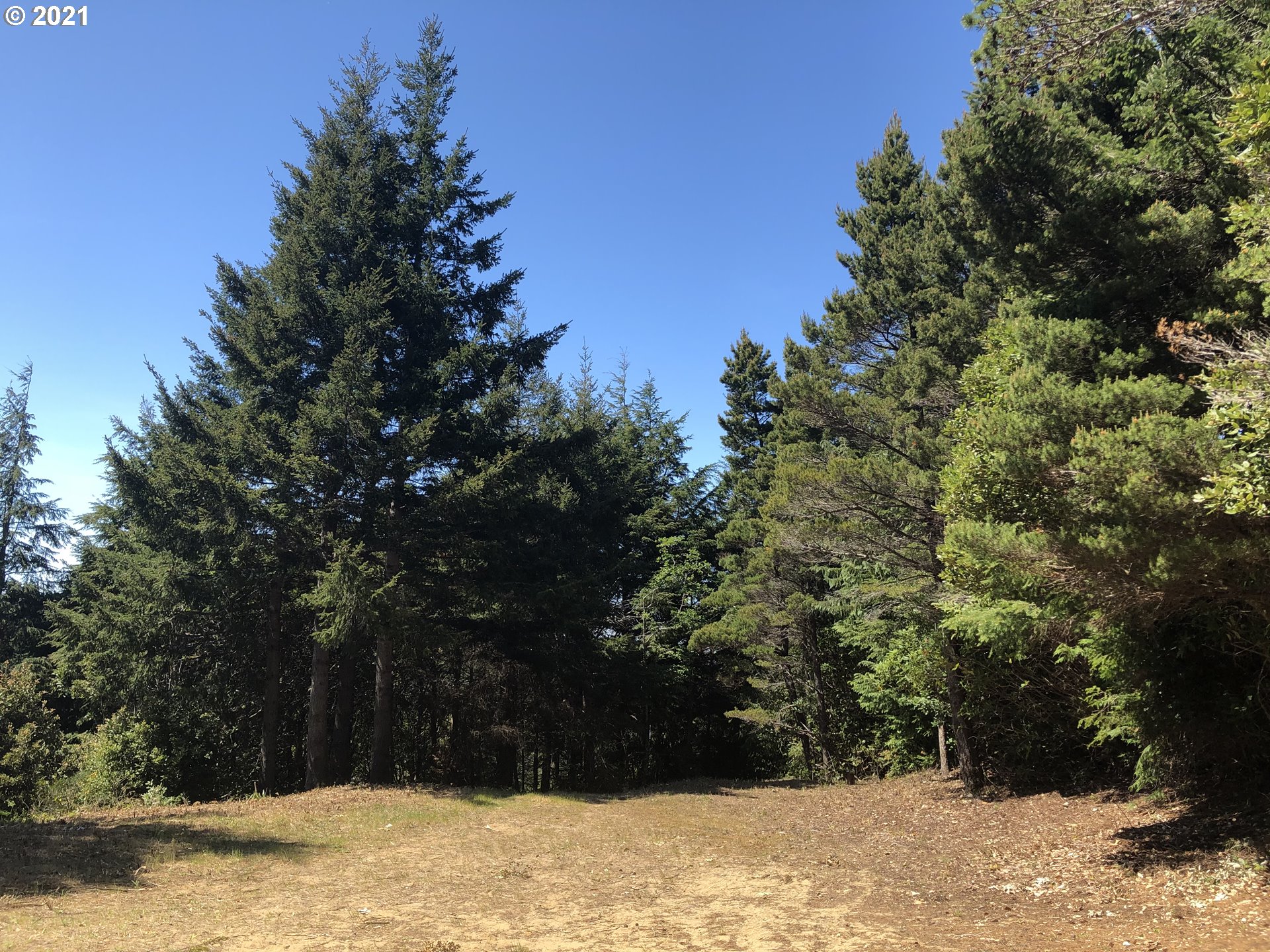Old Mill Rd Port Port Orford, OR 97465 - Photo 11 of 16 Gallery Image 11