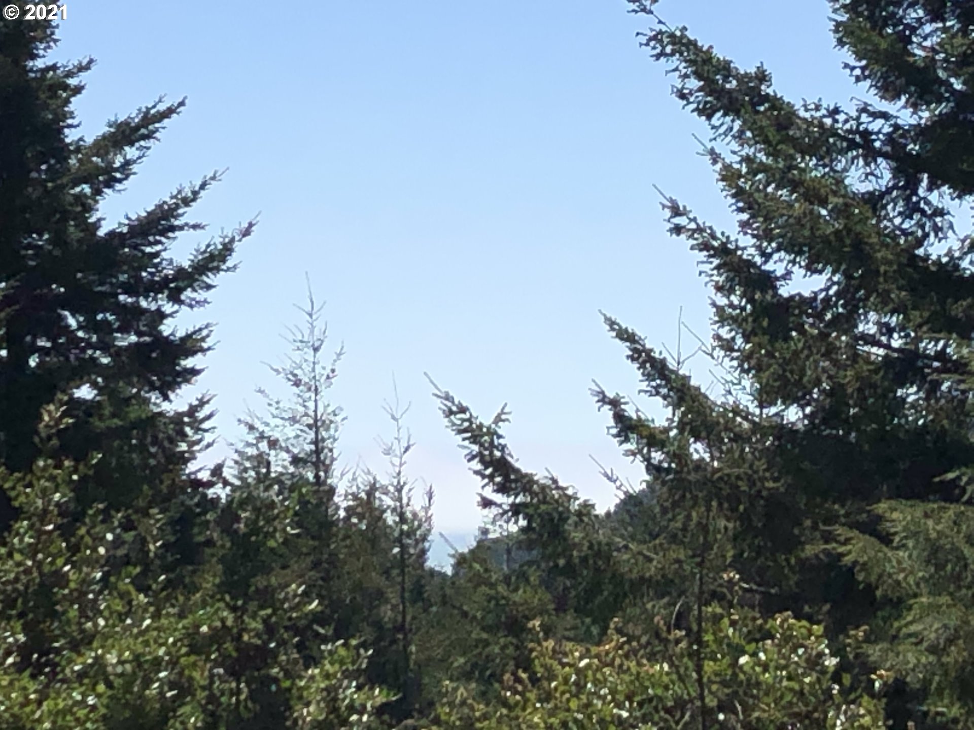Old Mill Rd Port Port Orford, OR 97465 - Photo 12 of 16 Gallery Image 12